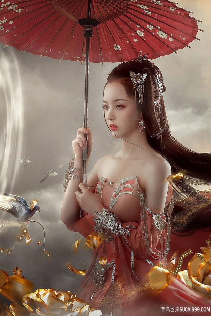 肥猫正传第一部