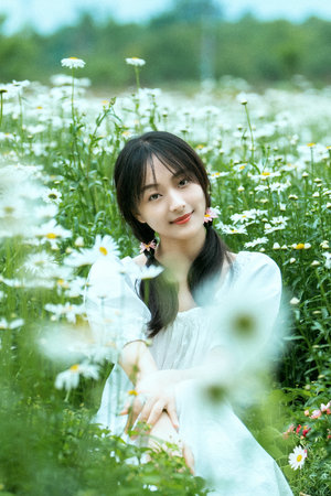 爱在何方全集观看