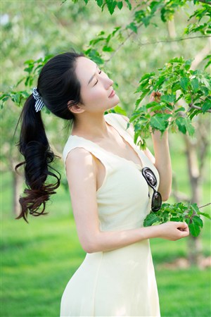 日本成人综艺节目