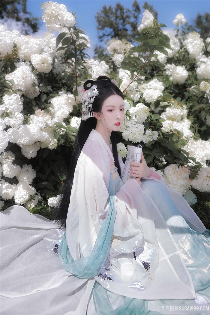 天行九歌第二季全集免费