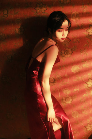 隅田川的夜樱风景线