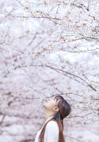 国产黄A片又黄又硬