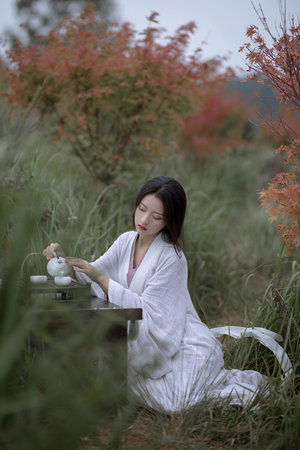 待到重逢时天府泰剧未删减