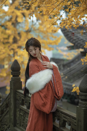 余罪电视剧全集