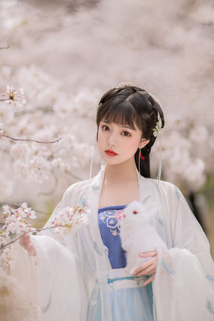 封神榜36全集免费