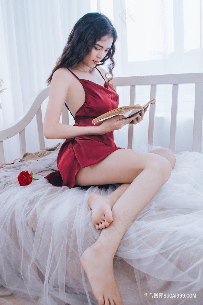 首辅大人的白月光跑路了