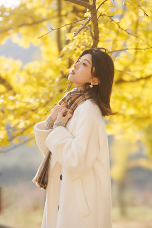 欧美日韩视频网