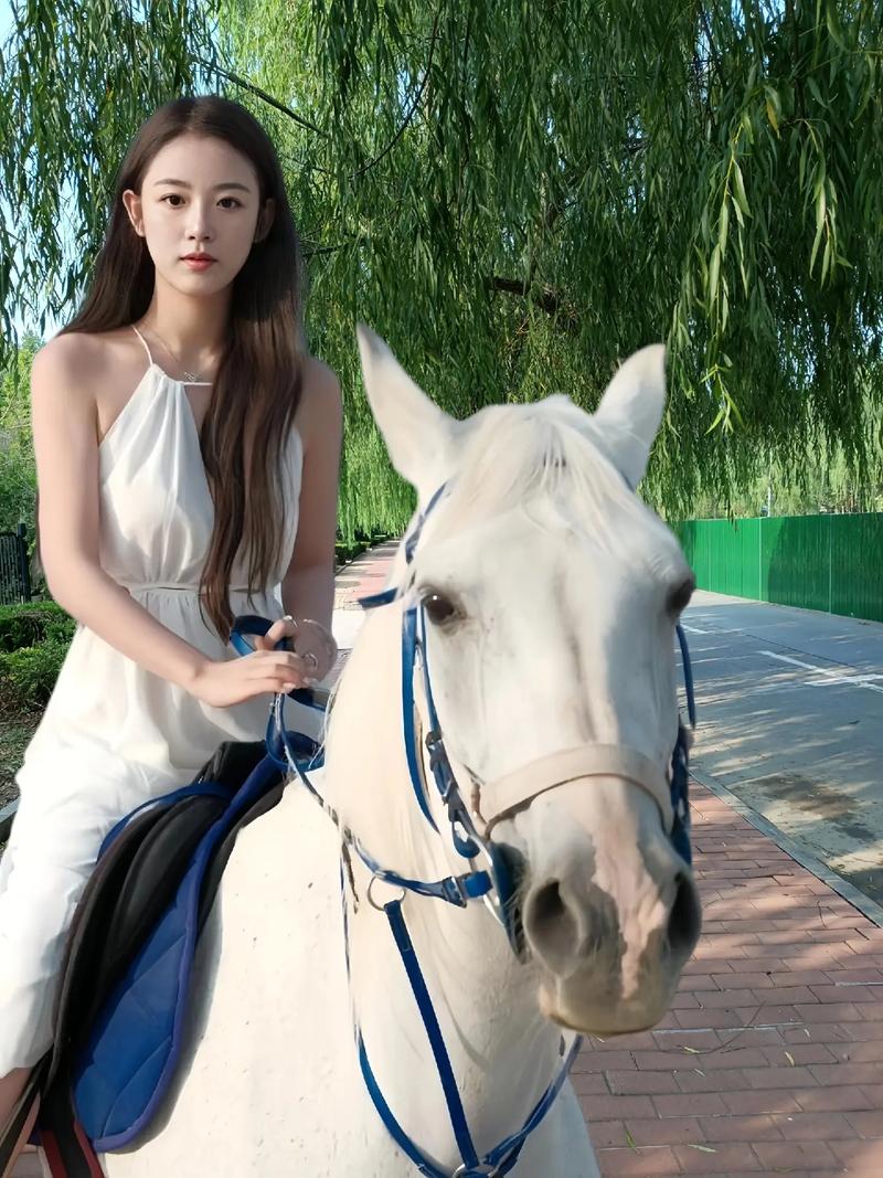 韩剧国语版蓝雾