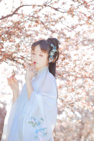 污网站在线浏览