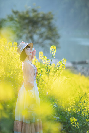 正规的动漫学校