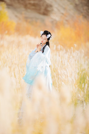 丝袜的足交快感