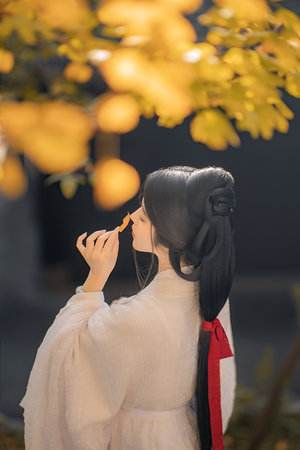 经典日本成年人的恐怖片