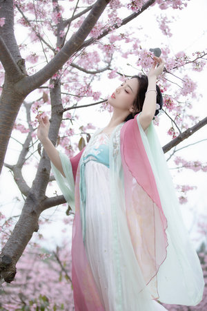 月夜视频免费高清观看在线