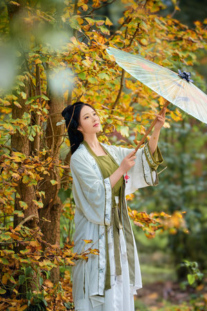 大富之家免费完整版