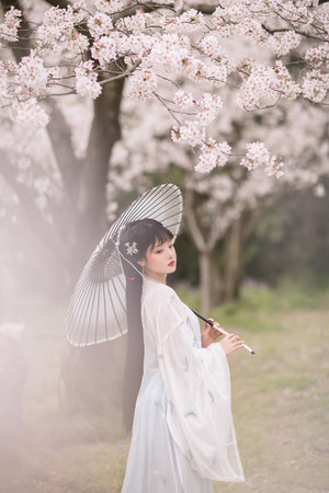 赏金猎人电视剧