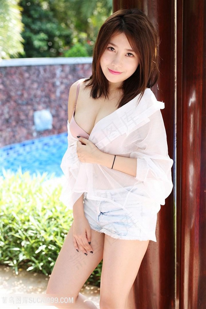 引狼入室电视剧